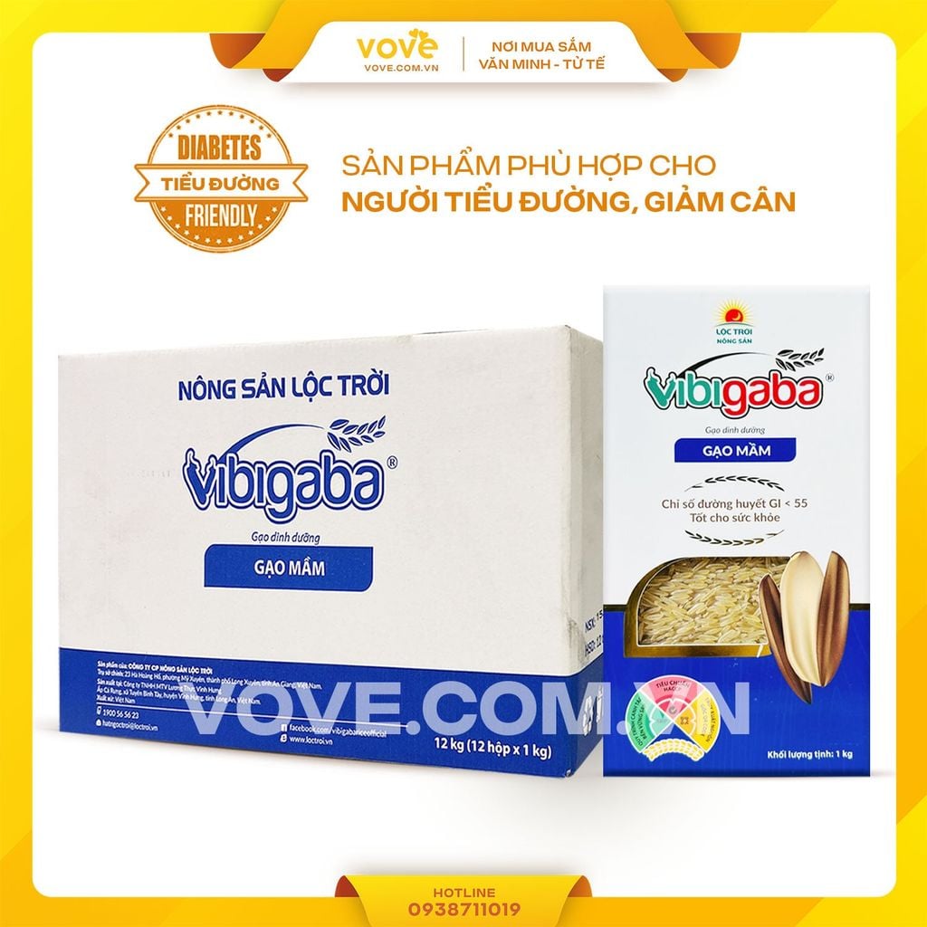 Gạo mầm Tiểu đường Vibigaba, thùng 12kg (12 hộp)