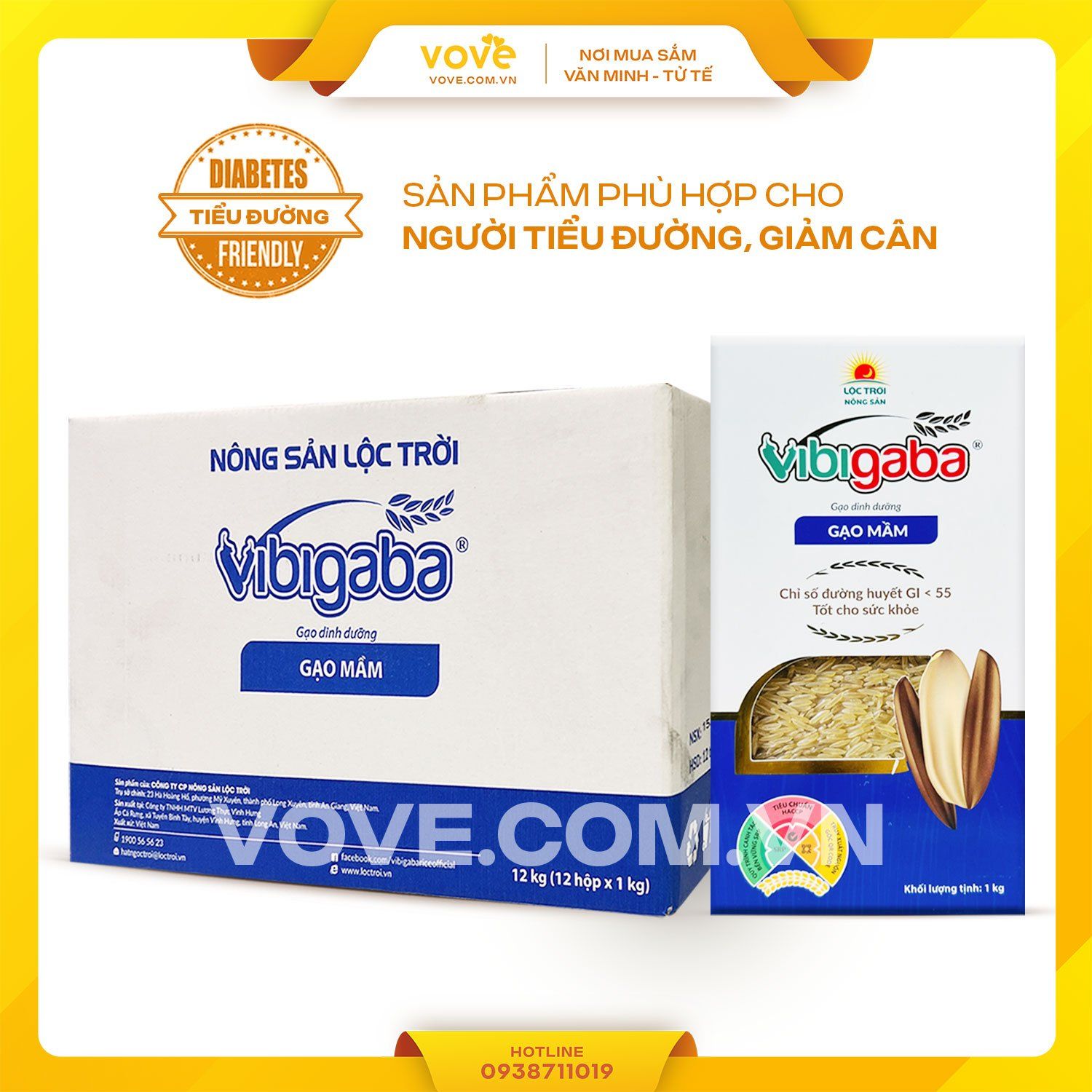 gao mam tieu duong vibigaba thung 12 kg 12 hop