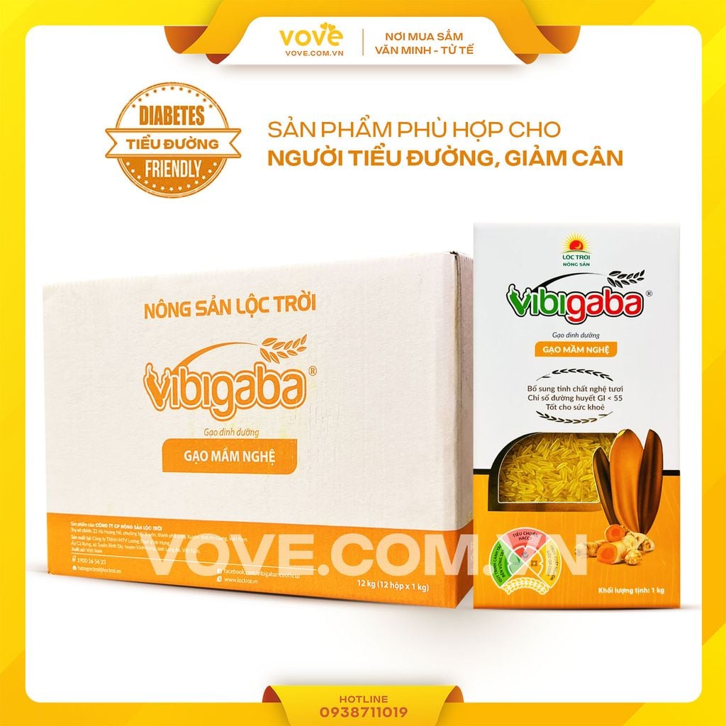 Gạo mầm nghệ Vibigaba dành cho người tiểu đường, thùng 12 kg (12 hộp)