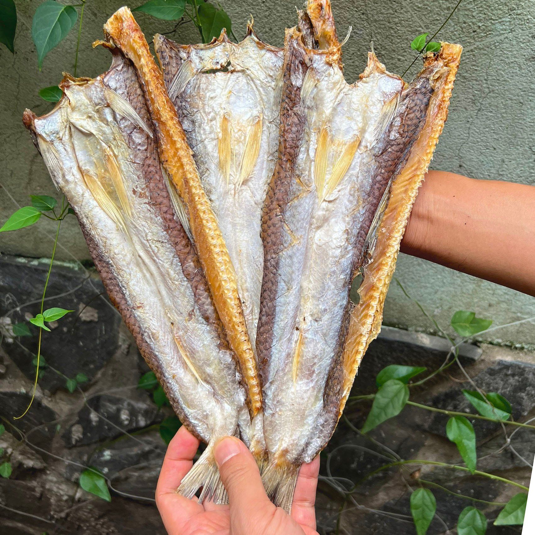 kho ca moi nhieu nang phu quoc loai 1 1kg