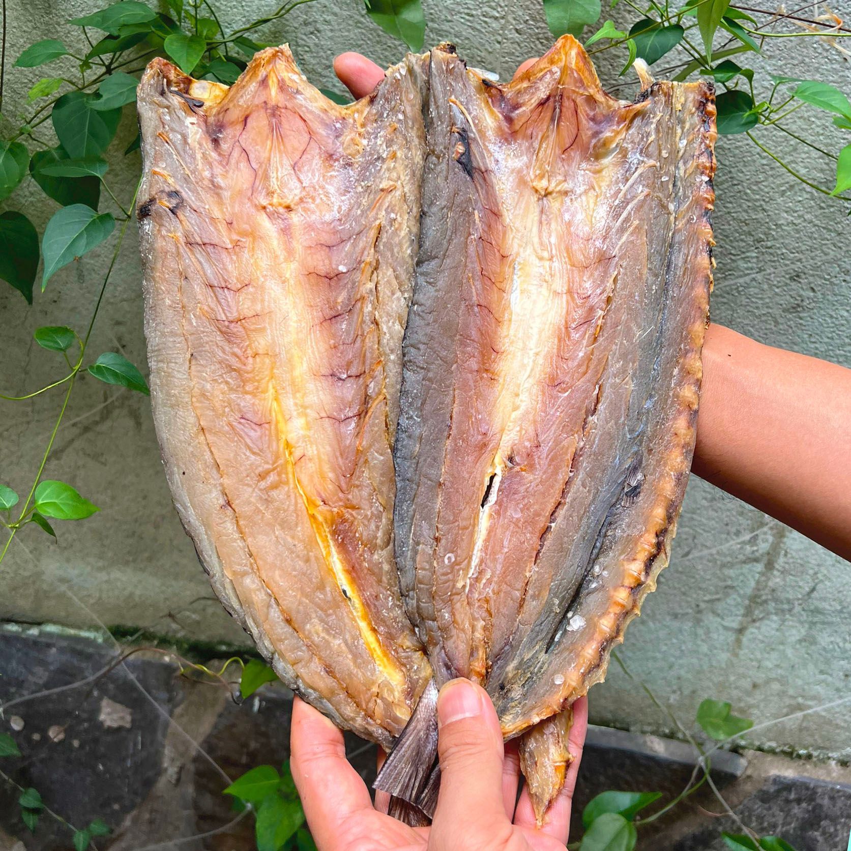 kho ca nhong bien nhieu nang phu quoc 1kg