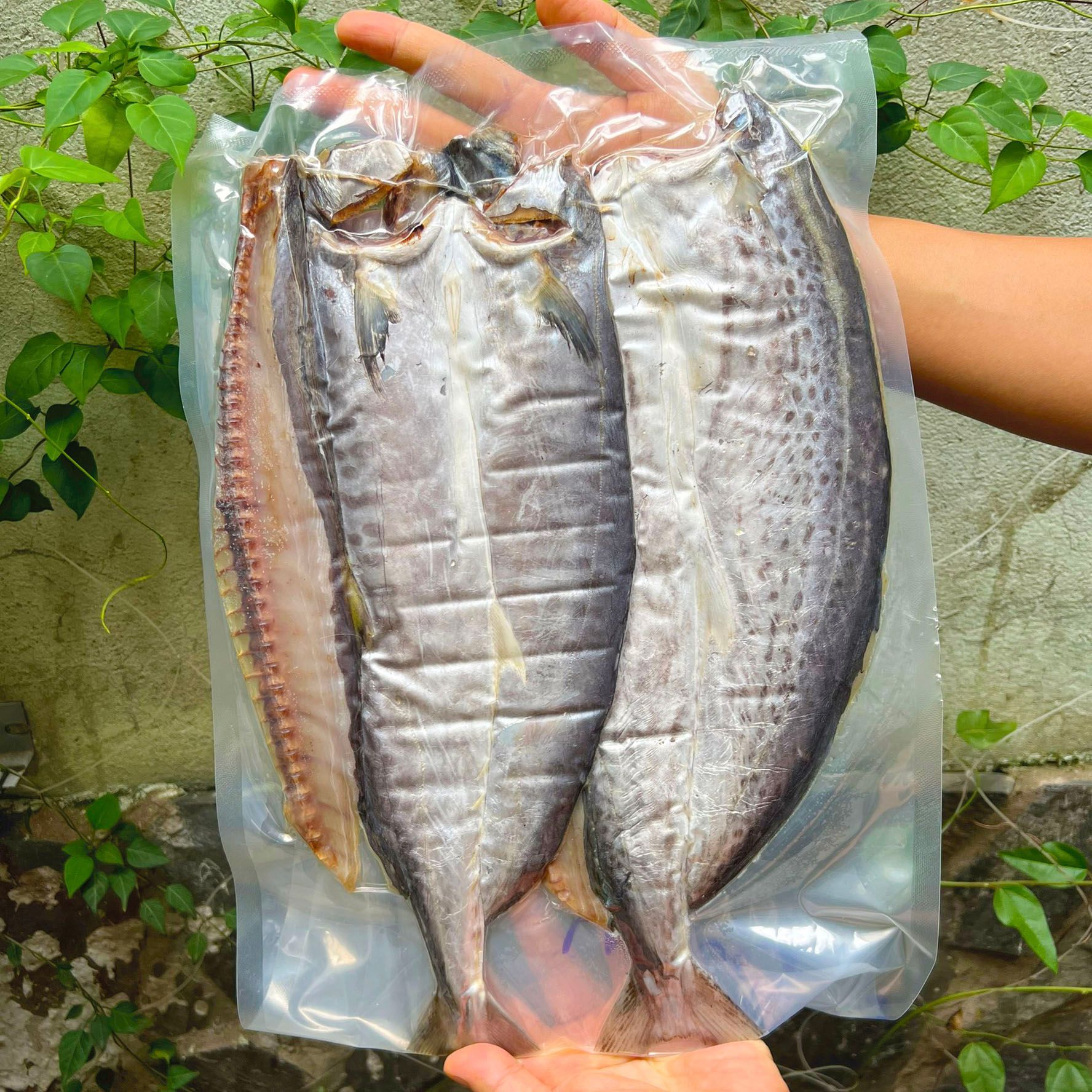 Khô cá Thu 1 nắng Phú Quốc