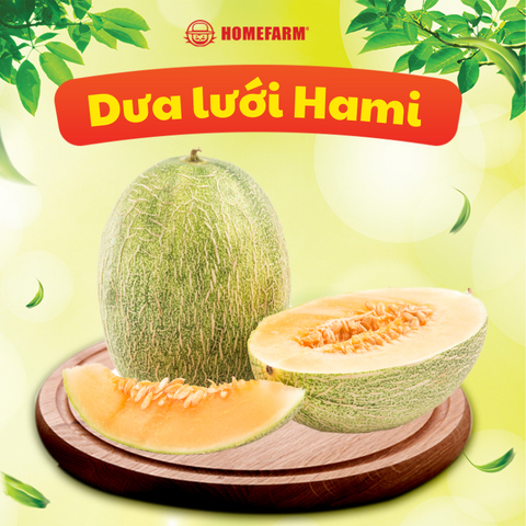 Dưa lưới Hami