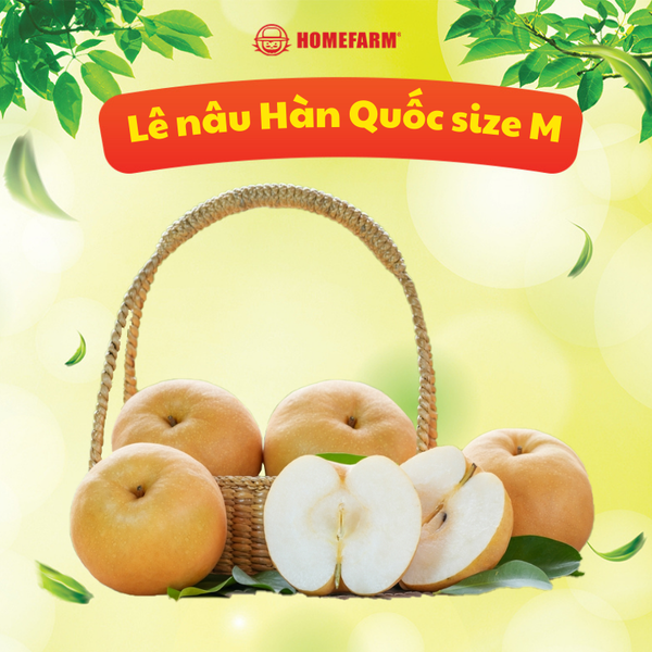 Lê nâu Hàn Quốc size M