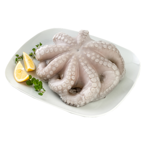 Bạch tuộc Cô Tô