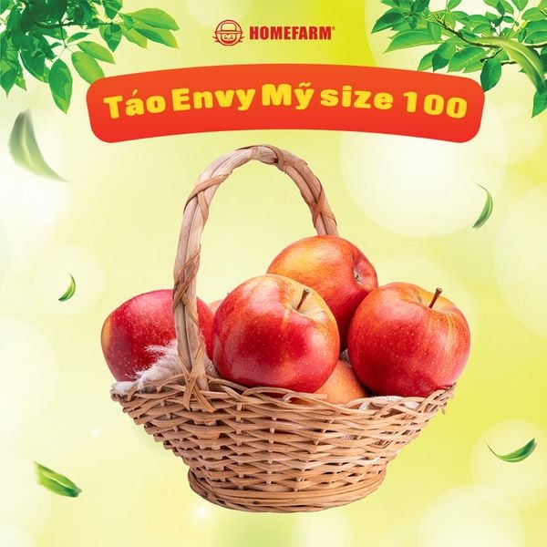 Táo Envy Mỹ size 88-100