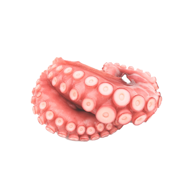 Bạch tuộc Sashimi