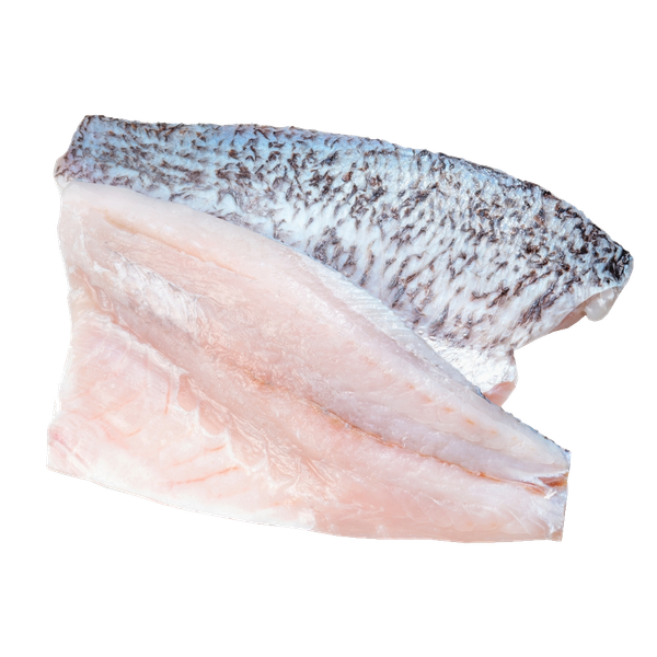 Cá Vược Đại Dương Fillet sashimi - Barramundi Fillet