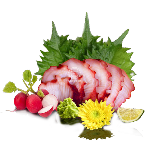 Râu bạch tuộc Nhật Marusui ( Tako Leg)