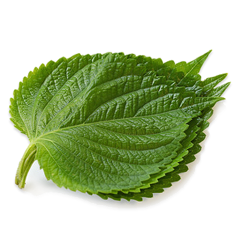 Lá vừng Hàn Quốc Túi 40g Từ 15 Đến 25 Lá