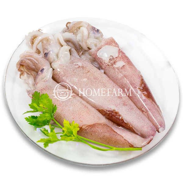 Mực ống Nhập Khẩu làm sạch (size 200g-400g)