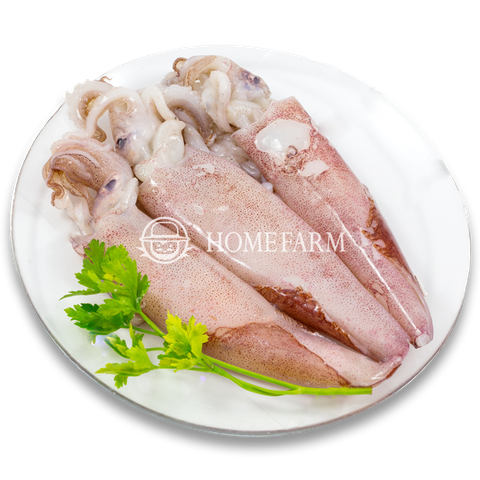 Mực ống Nhập Khẩu làm sạch (size 200g-400g)