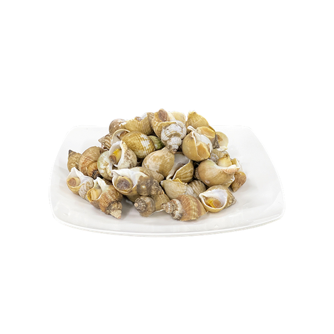 Ốc hương Bulot Ireland