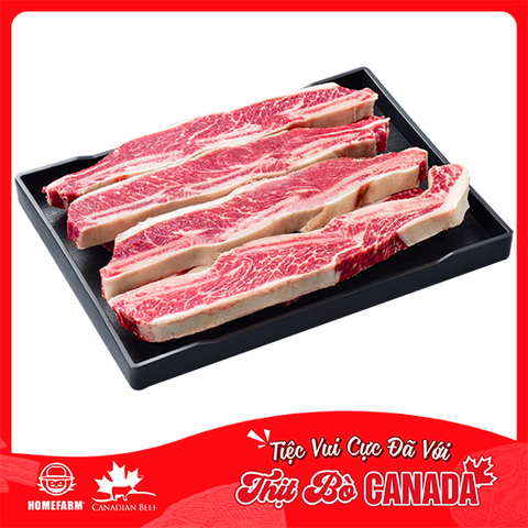 Sườn non bò nhập khẩu có xương (Short Ribs Bone)