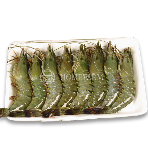 Tôm sú nguyên con xuất 30 EU net 400gr