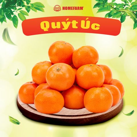 Quýt Úc loại 1