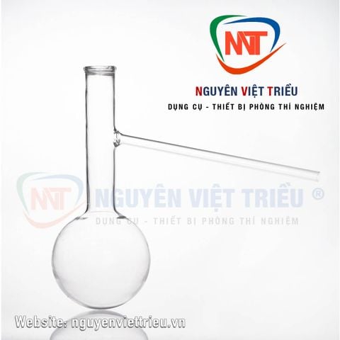 Bình cầu có nhánh 250ml