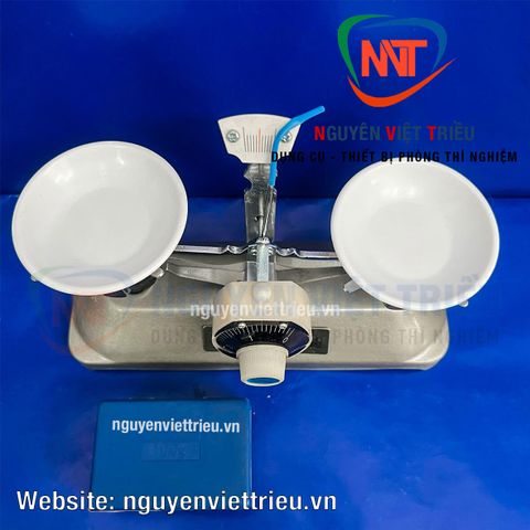 Cân đĩa Roberval 100g