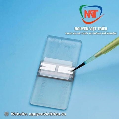 Lamen buồng đếm 20x26mm