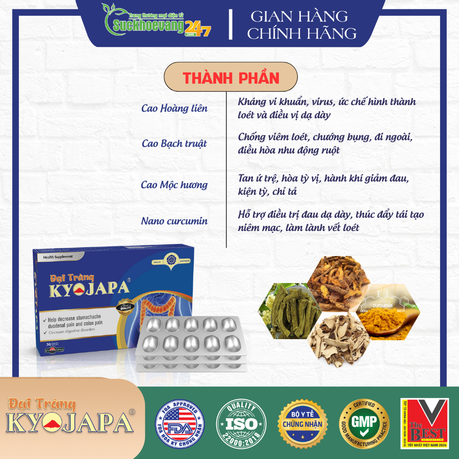 TPBVSK Đại Tràng Kyojapa