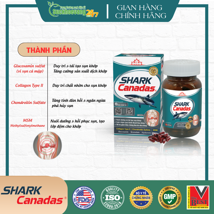 TPBVSK Shark Canadas