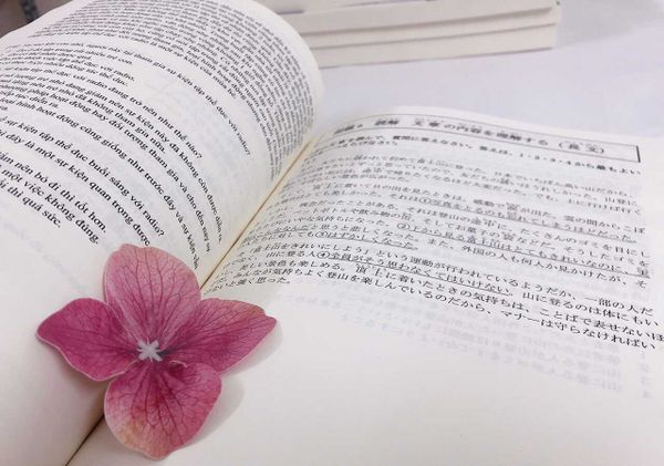 Goukaku Dekiru N3 - Dịch 100% tiếng Việt