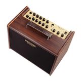 Ampli Guitar Nux Street Artist SA-40 Pin Sạc