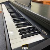 Đàn Piano Điện Yamaha YDP-88II