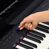 Đàn Piano Điện Casio PX-830PE