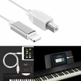 Cáp Kết Nối Đàn Piano, Organ Với Ipad, Iphone Cổng Midi USB OTG Type B