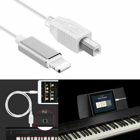 Cáp Kết Nối Đàn Piano, Organ Với Ipad, Iphone Cổng Midi USB OTG Type B