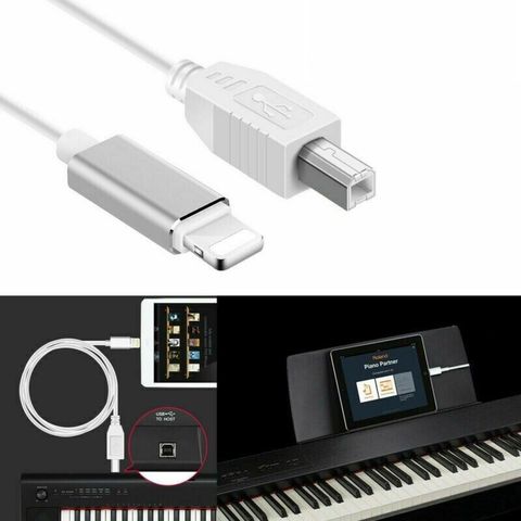 Cáp Kết Nối Đàn Piano, Organ Với Ipad, Iphone