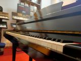 Đàn Piano Grand Điện Yamaha DGP1