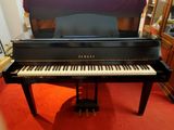 Đàn Piano Grand Điện Yamaha DGP1