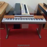 Đàn Piano Điện Yamaha P 120