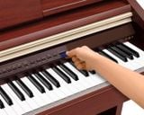 Piano Điện Casio AP-500