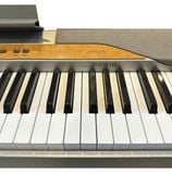 Đàn Piano Điện Casio PX-110