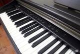 Piano Điện Casio CDP 7000