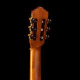 Đàn Guitar Classic Pearl River CL-20