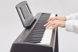 Đàn Piano Điện Roland FP-10