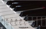 Music Note Sticker - Sticker Nốt Nhạc Cho Piano và đàn phím