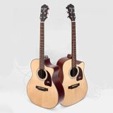 Đàn Guitar Acoustic Morgan N2