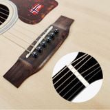 Đàn Guitar Acoustic Morgan N2