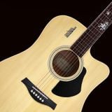 Đàn Guitar Acoustic Rosen G12