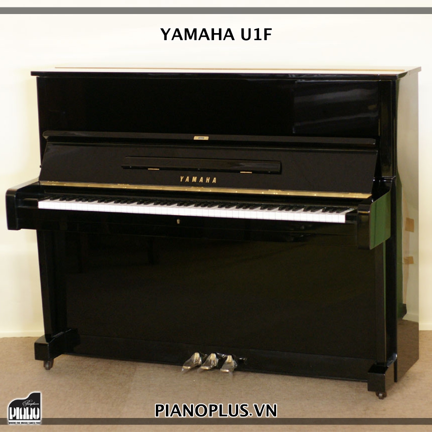 Yamaha u1f 2024