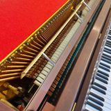 Đàn Piano Upright Astor P15