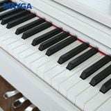 Đàn Piano Điện Mayga MP-13