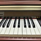 Đàn Piano Điện Casio AP-500