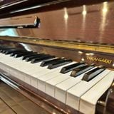 Đàn Piano Upright Waldstein 120W