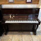 Đàn Piano Upright Waldstein 120W